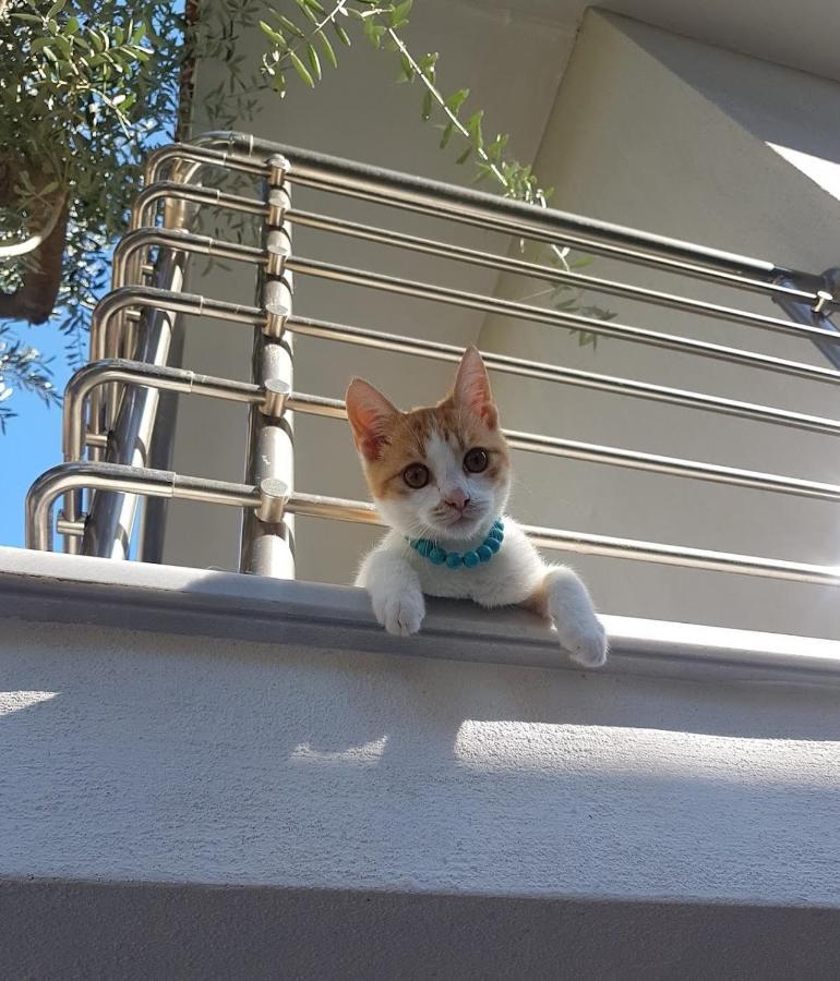 Spitaki Apartments ポトス エクステリア 写真